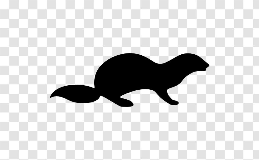 Otter - Seals - Organism Transparent PNG