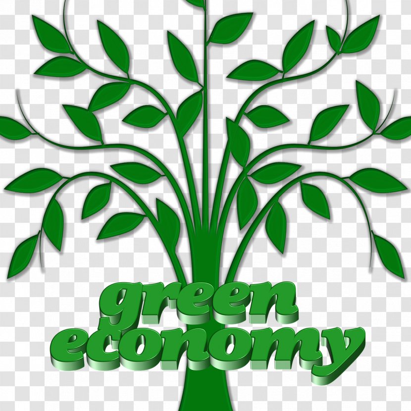 Environmental Protection Natural Environment Nature Finance Climate Change - Plant Stem Transparent PNG