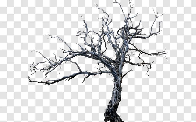 Arboles - Monochrome - Tree Transparent PNG