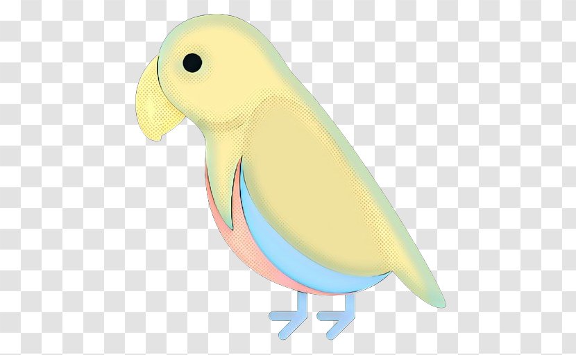 Bird Parrot Parakeet Beak Cartoon - Budgie Transparent PNG