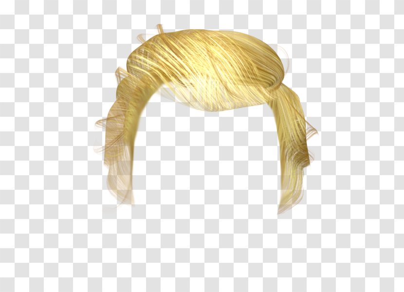 Hair Wig - United States Presidential Approval Rating Transparent PNG