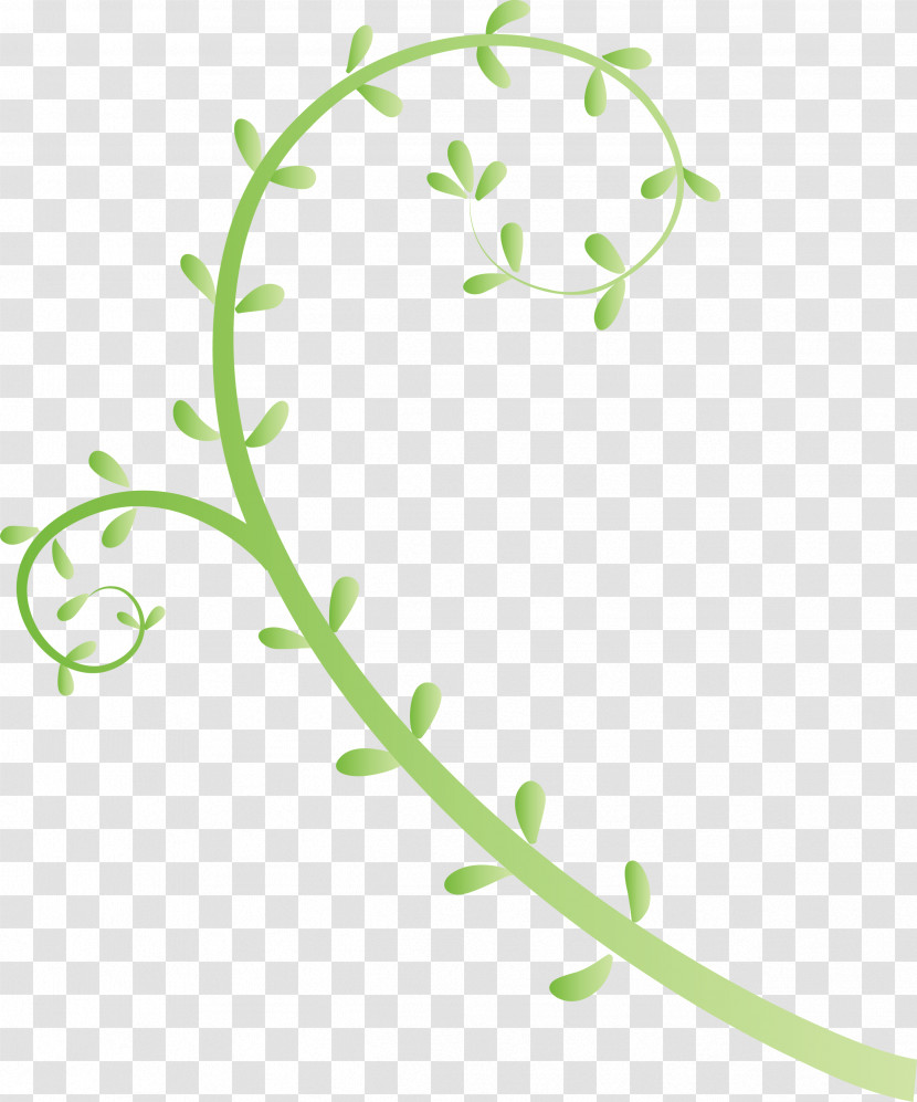 Flower Frame Floral Frame Transparent PNG