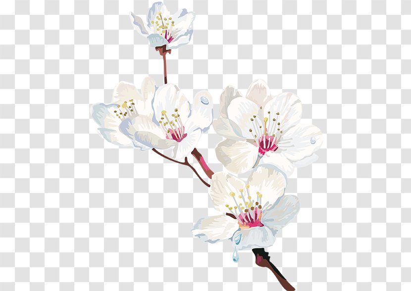 Cherry Blossom Watercolor Painting Flower - Printing Transparent PNG