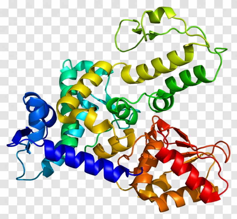 WWP1 NEDD4 Ubiquitin Ligase Protein Clip Art - Frame - Silhouette Transparent PNG