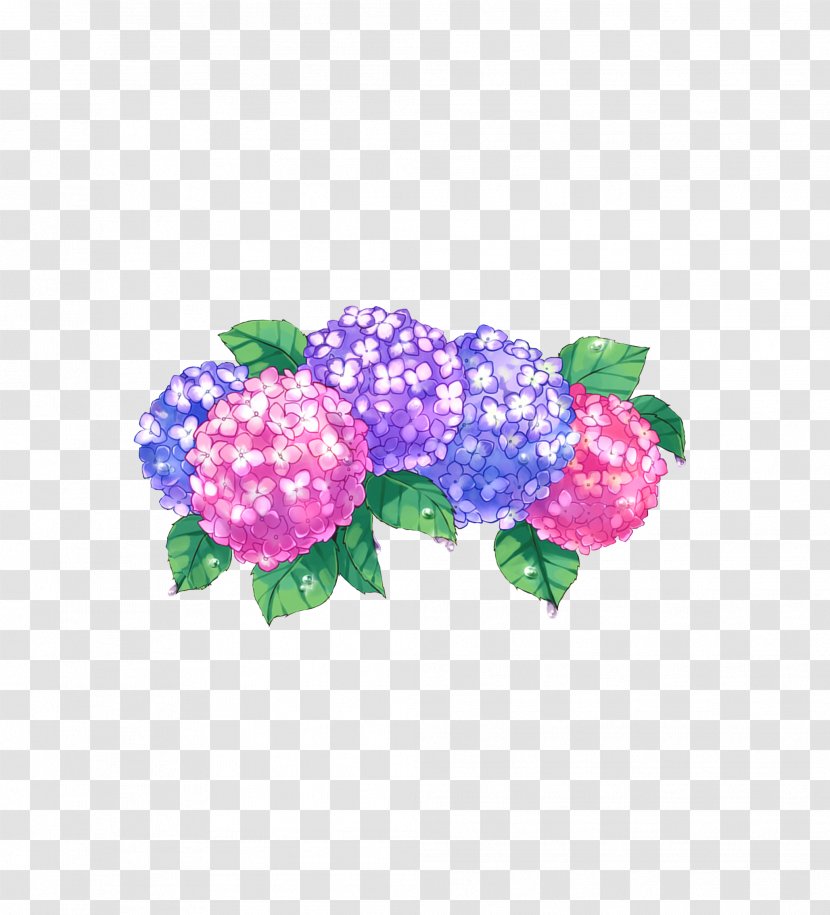 Hydrangea Cut Flowers Petal Plant - Flor Transparent PNG