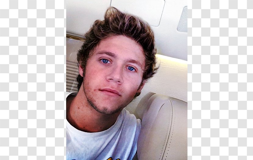 Niall Horan Beard One Direction Facial Hair Designer Stubble - Bangs Transparent PNG