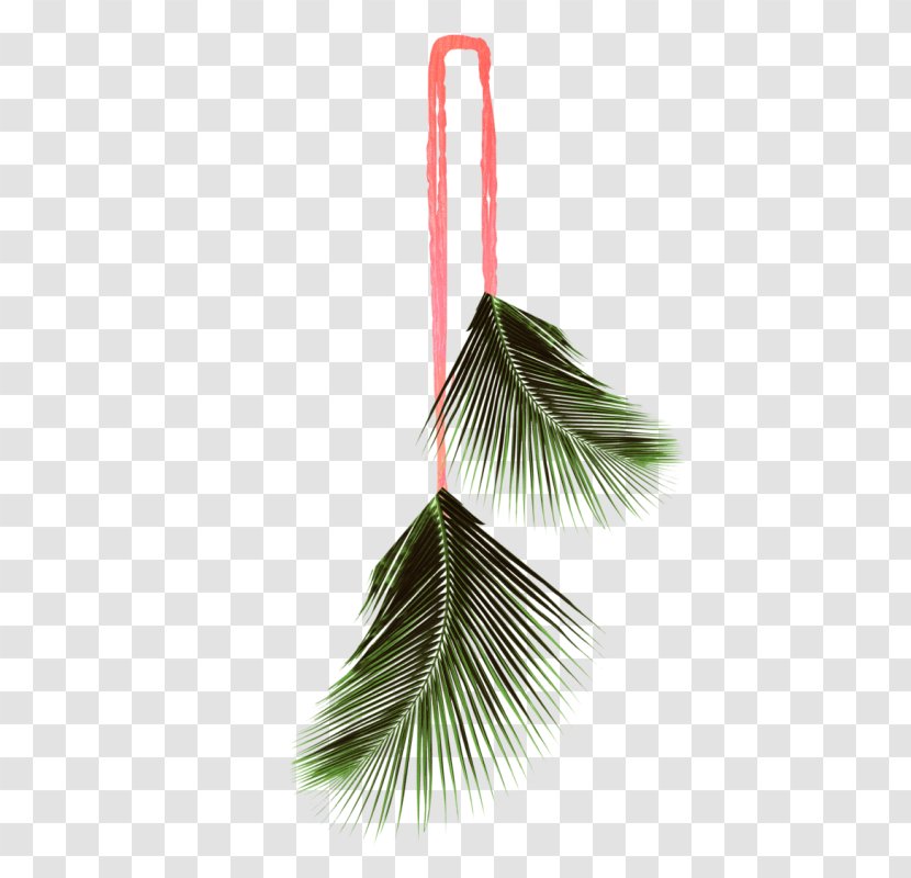 Leaf Coconut Arecaceae - Green - Leaves Transparent PNG