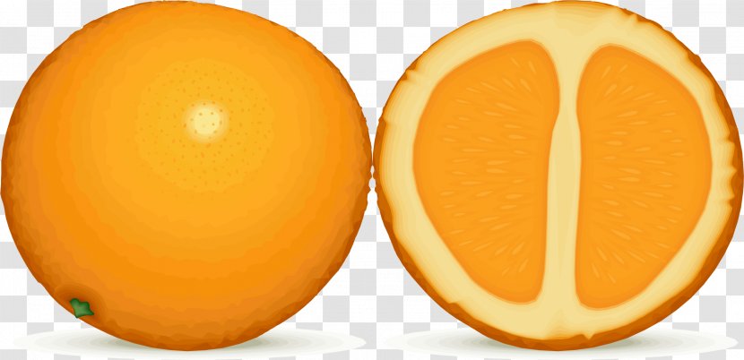 Orange Juice Lemon Fruit Clip Art Transparent PNG