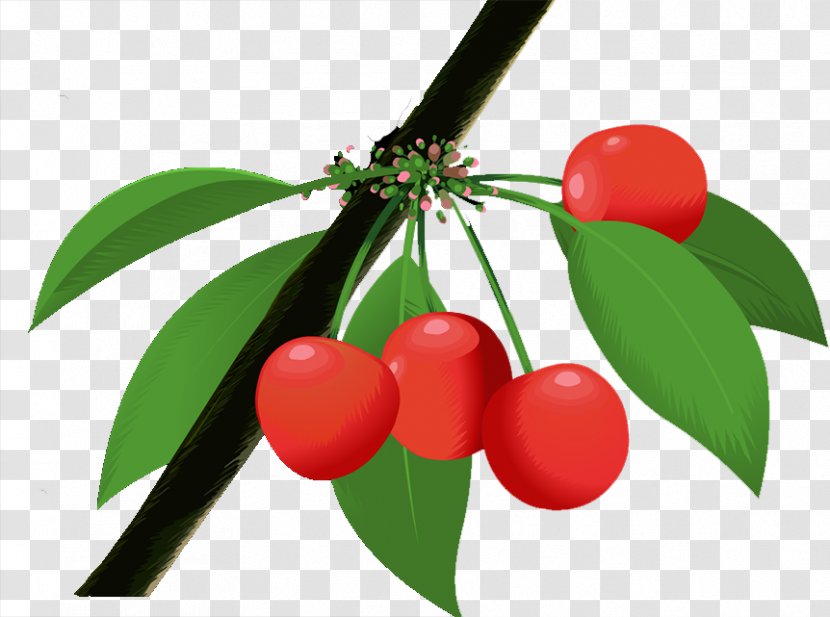 Cherry Berry Natural Foods Transparent PNG