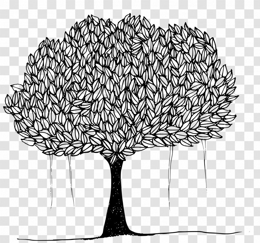 Tree Ficus Religiosa Banyan Clip Art - Woody Plant Transparent PNG