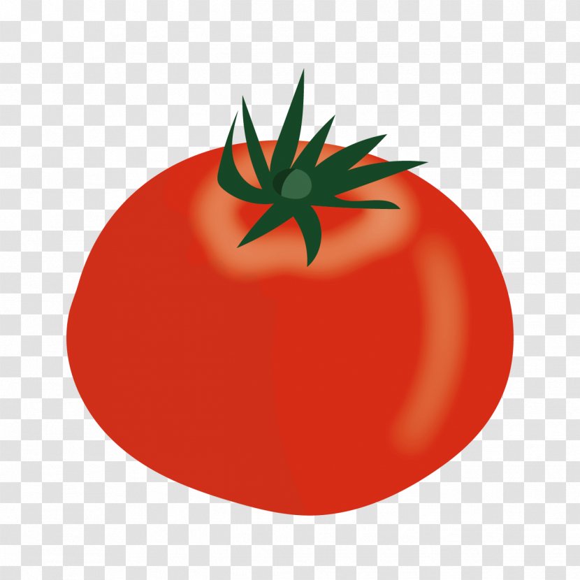 Plum Tomato Bush Vegetable Transparent PNG