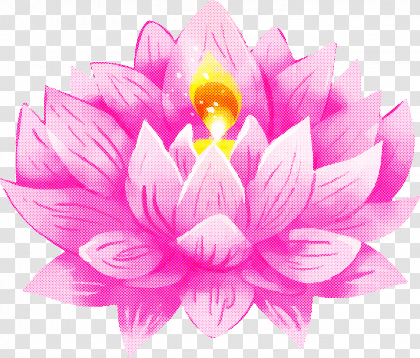 Bodhi Lotus Lotus Transparent PNG