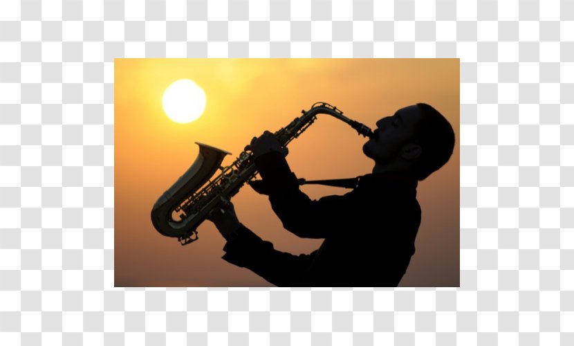 Wolf Trap National Park For The Performing Arts Saxophone Musician Smooth Jazz - Flower Transparent PNG