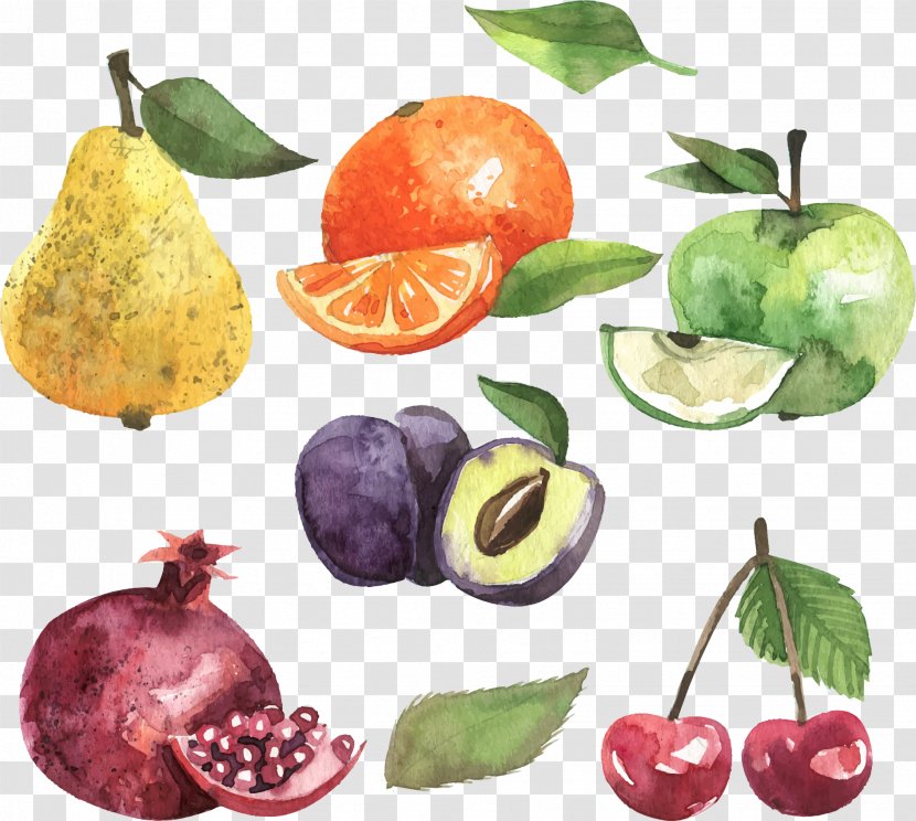 Apple Fruit Euclidean Vector - Food - Watercolor Green Transparent PNG