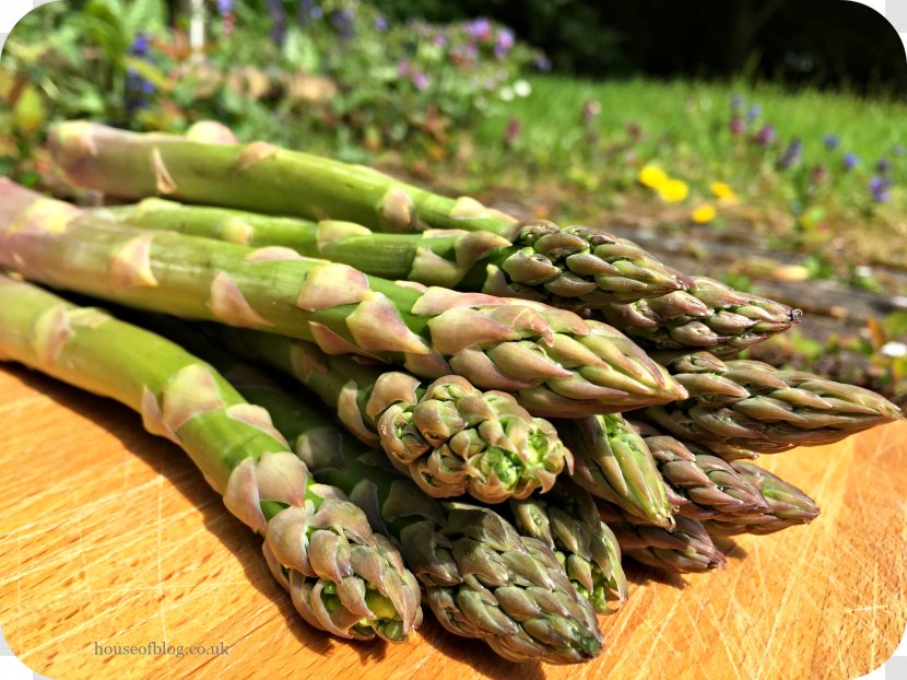 Asparagus Vegetarian Cuisine Food La Quinta Inns & Suites Vegetarianism - Vegetable Transparent PNG