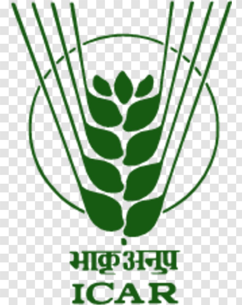 Vasantrao Naik Marathwada Krishi Vidyapeeth Indian Council Of Agricultural Research Statistics Institute Agriculture Logo - Plant - Aquaculture Symbol Transparent PNG