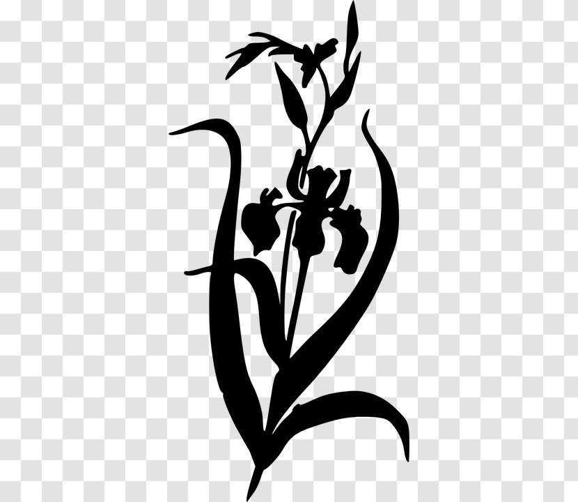 Irises Clip Art - Branch - Free Flower Silhouette Transparent PNG