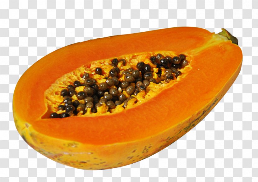 Papaya Protease Apparato Digerente Eating Food - Homocysteine - Cut Transparent PNG