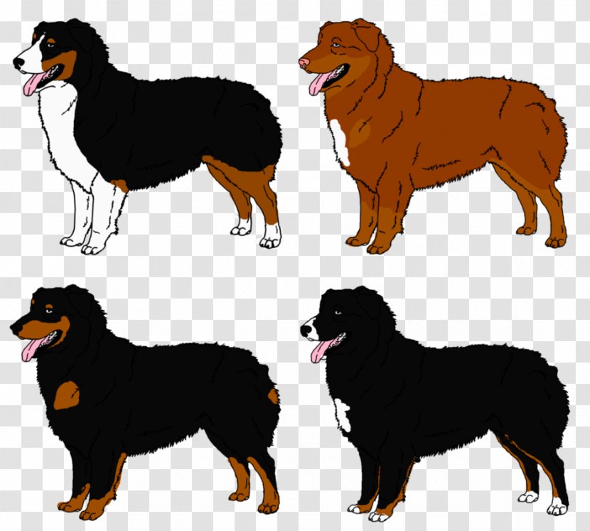 Ancient Dog Breeds Companion Rough Collie - Breed Group - Australian Shepherd Transparent PNG