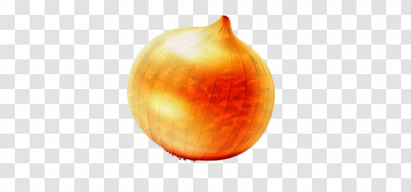 Desktop Wallpaper Computer Fruit - Orange Transparent PNG