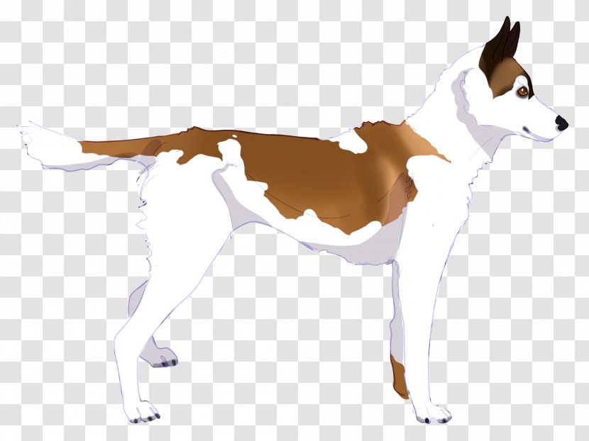 Dog Paw - Foxhound - Whippet Hunting Transparent PNG