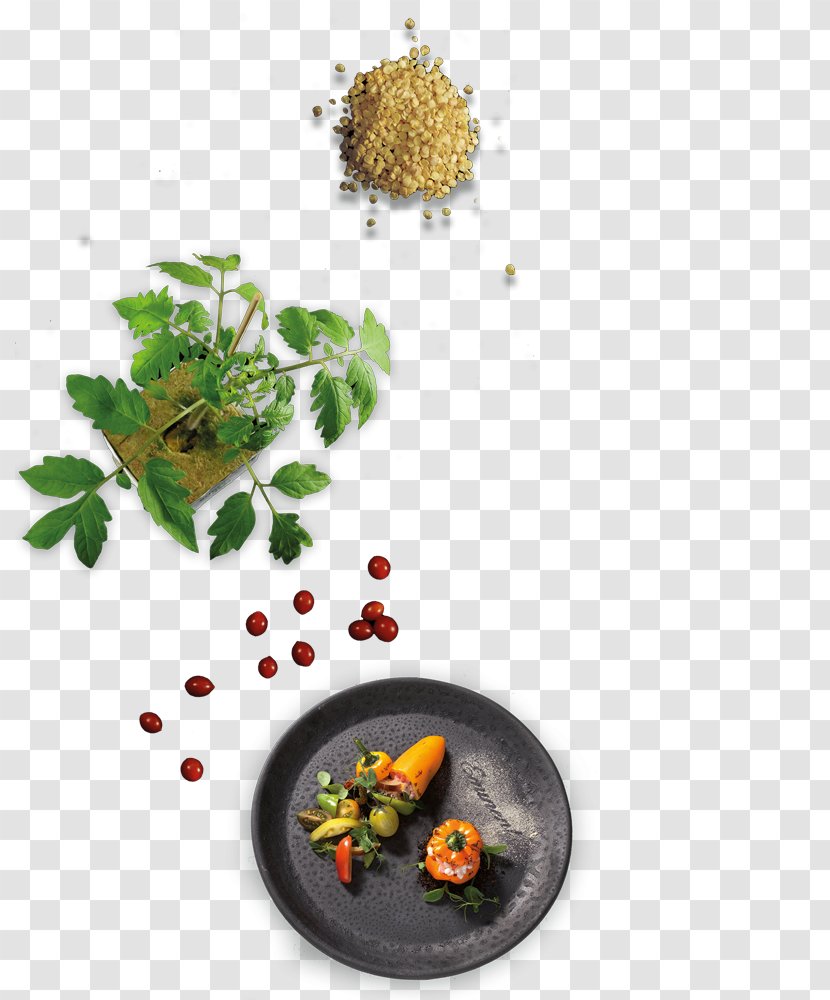 Eminent Food Seed Culture Variety Superfood - At - Paprika Plant Transparent PNG