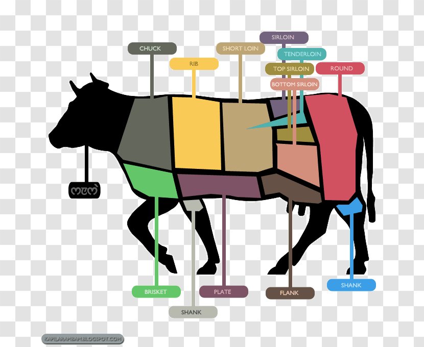 Horse Beef Cattle Clip Art Illustration Product Transparent PNG