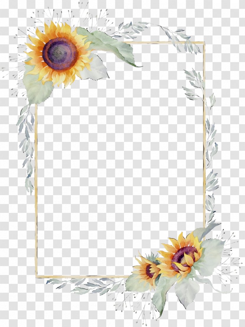 Background Watercolor Frame - Drawing - Wildflower Picture Transparent PNG
