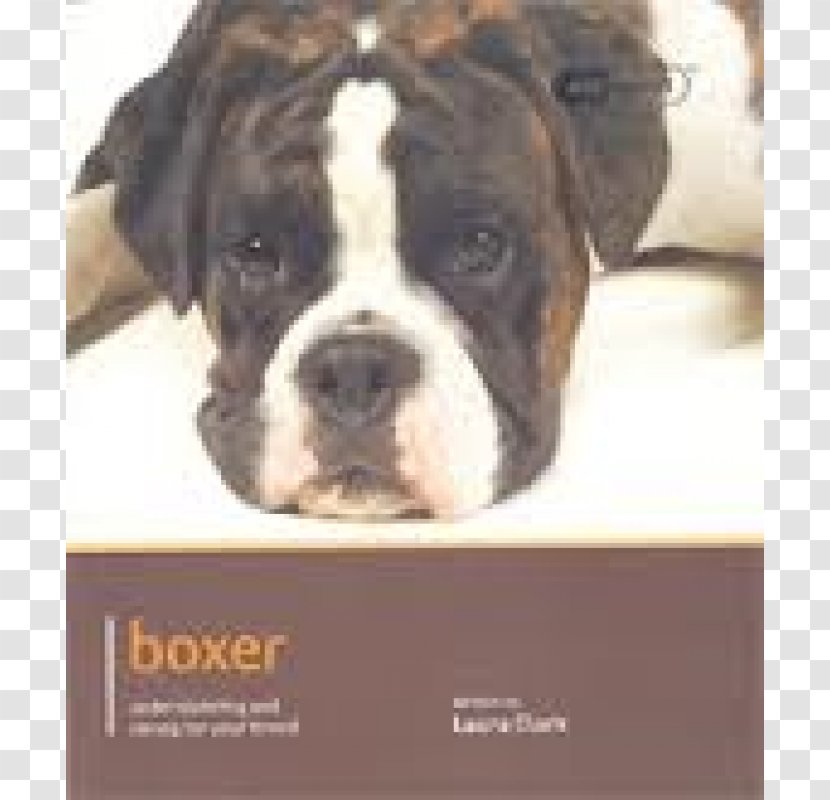 Valley Bulldog Toy Olde English Bulldogge Boxer - Breeds - Book Transparent PNG