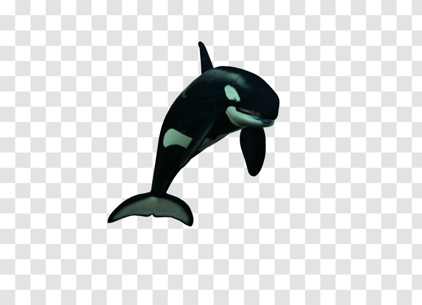 Dolphin Killer Whale - Marine Mammal - Delfines Transparent PNG