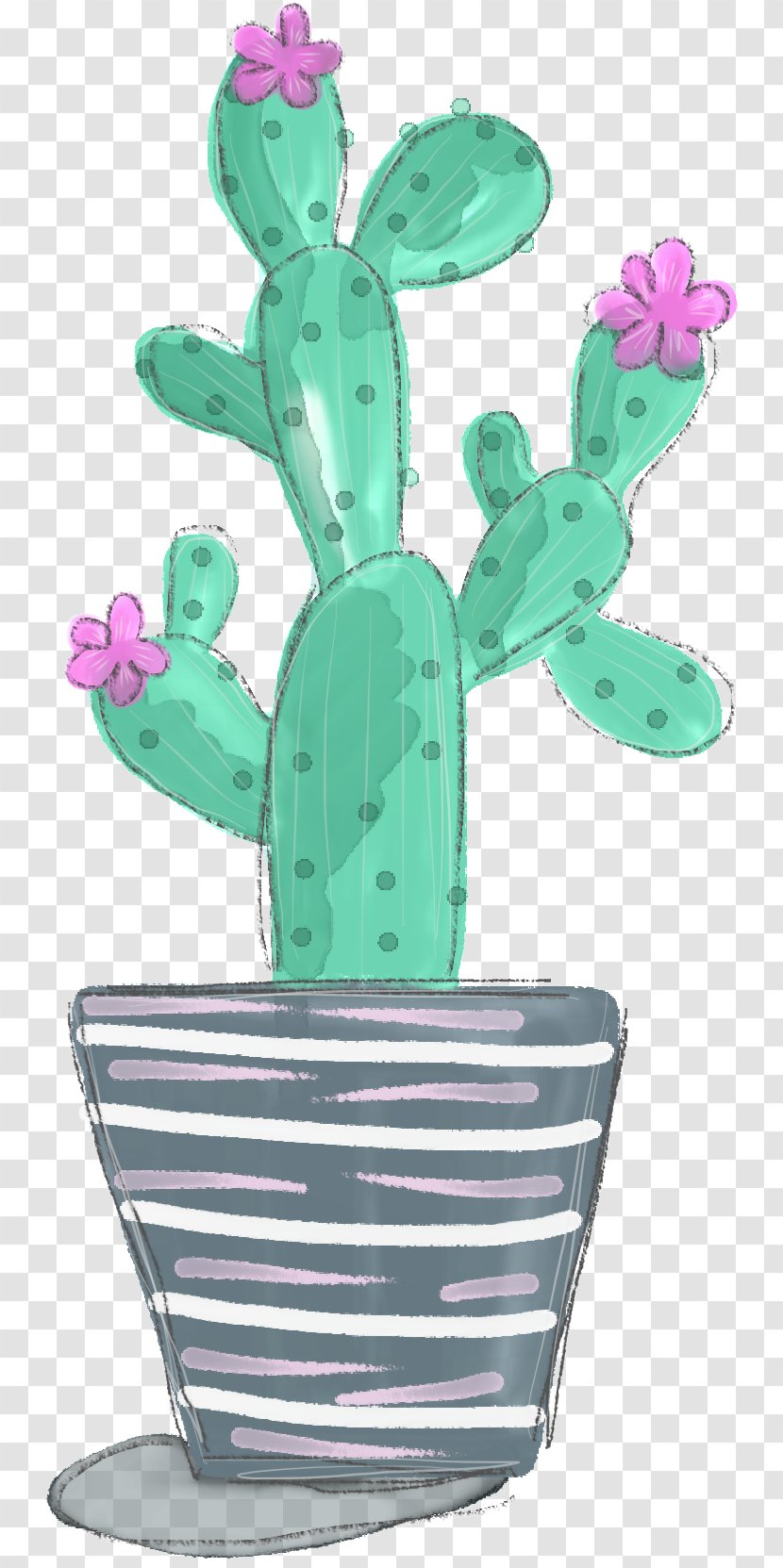 Cactaceae Flowering Plant Instagram - Cactus Transparent PNG