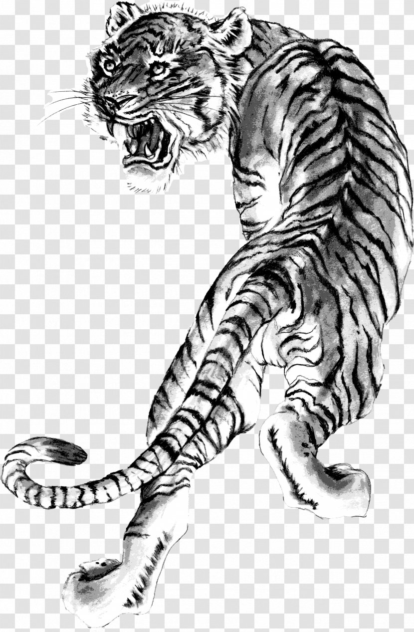 Tiger Whiskers Lion Shaolin Monastery Heihuquan - Art - Sheng Yi Xing Long Transparent PNG