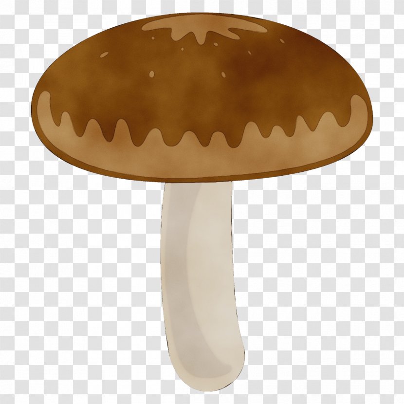 Mushroom Champignon Agaricaceae Shiitake Agaricus - Paint - Edible Agaricomycetes Transparent PNG