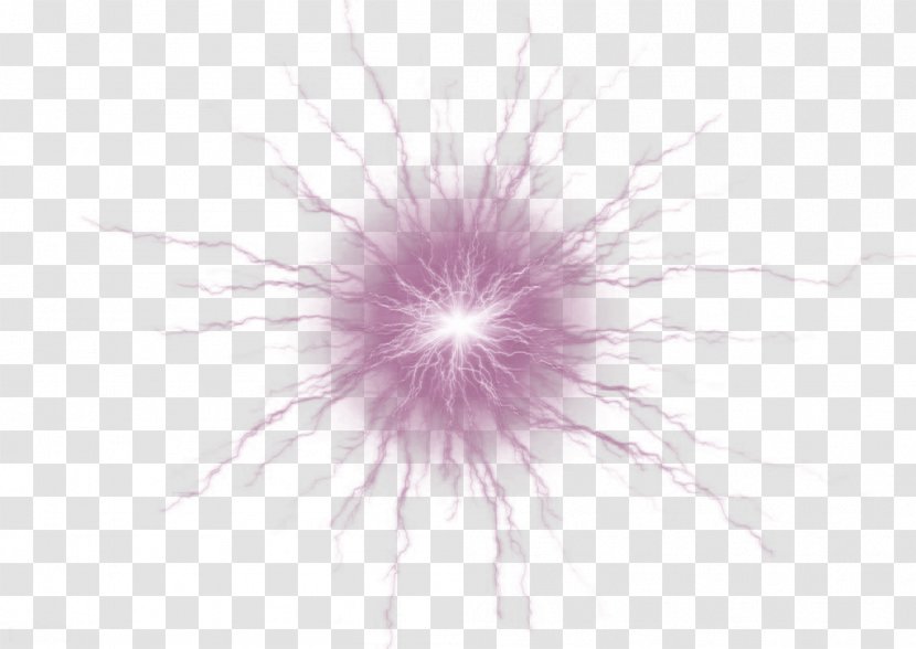 Close-up Sky Petal Computer Wallpaper - Close Up - Purple Bright Light Effect Element Transparent PNG