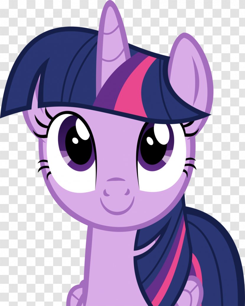 Twilight Sparkle Rarity Rainbow Dash Pinkie Pie Pony - Flower Transparent PNG