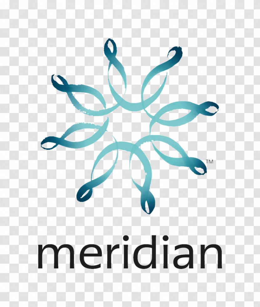 New Zealand Meridian Energy Business Renewable Electricity Retailing - Brand - Rowing Transparent PNG