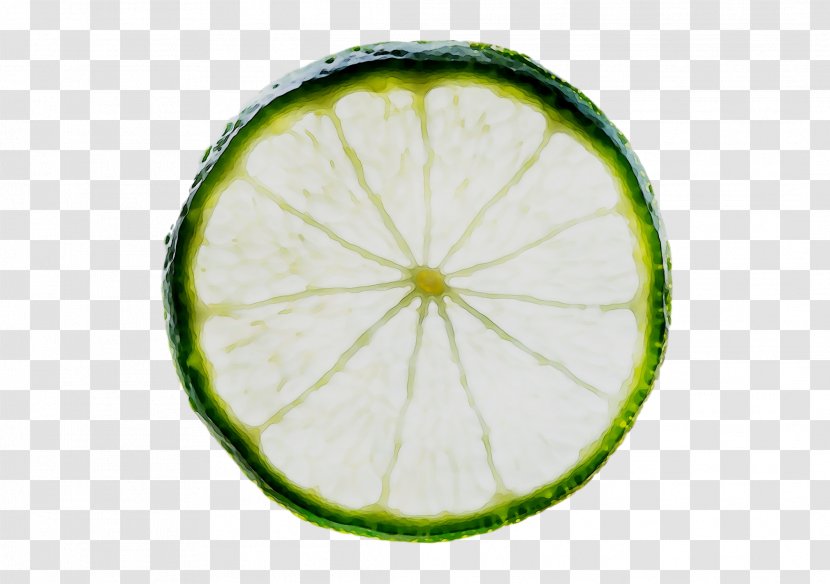 Lime Lemon - Flowering Plant Transparent PNG