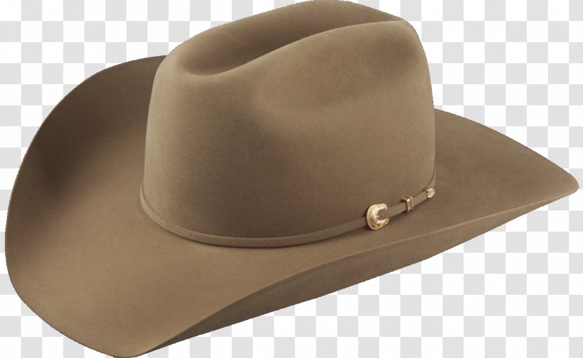 American Hat Company Cowboy Stetson - Fur Clothing - Glory of kings Transparent PNG