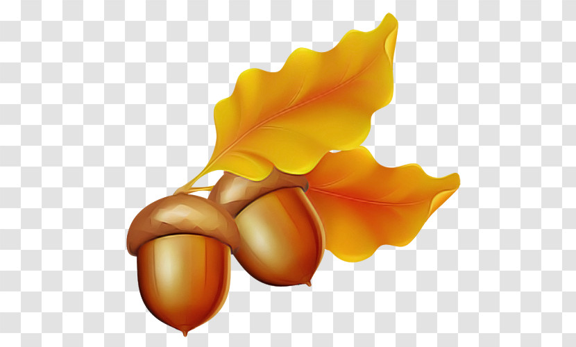 Petal Flower Fruit Transparent PNG