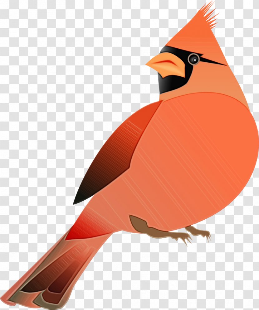 Bird Northern Cardinal Beak Songbird - Finch Perching Transparent PNG