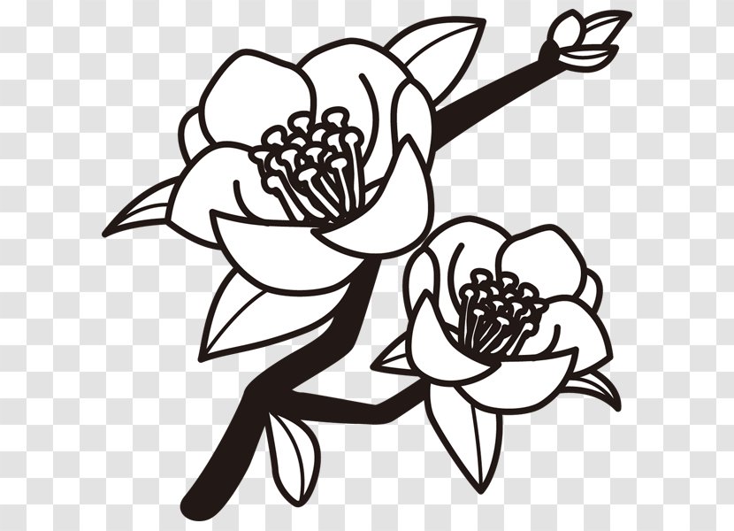 Black And White Drawing Japanese Camellia Monochrome Painting Clip Art - Flower - Ohana Transparent PNG