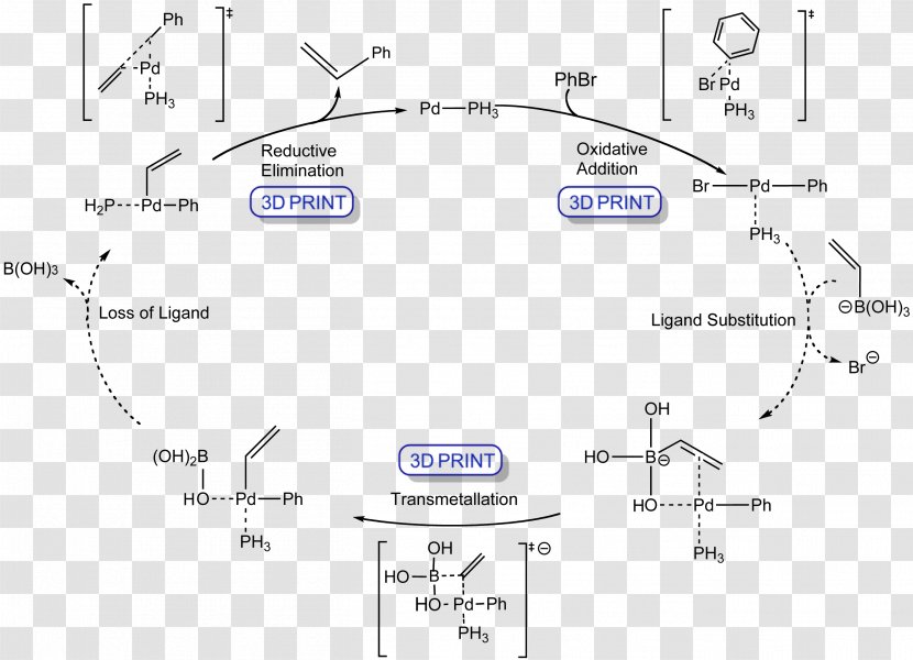 Line Angle Diagram Suzuki Reaction - Text Transparent PNG