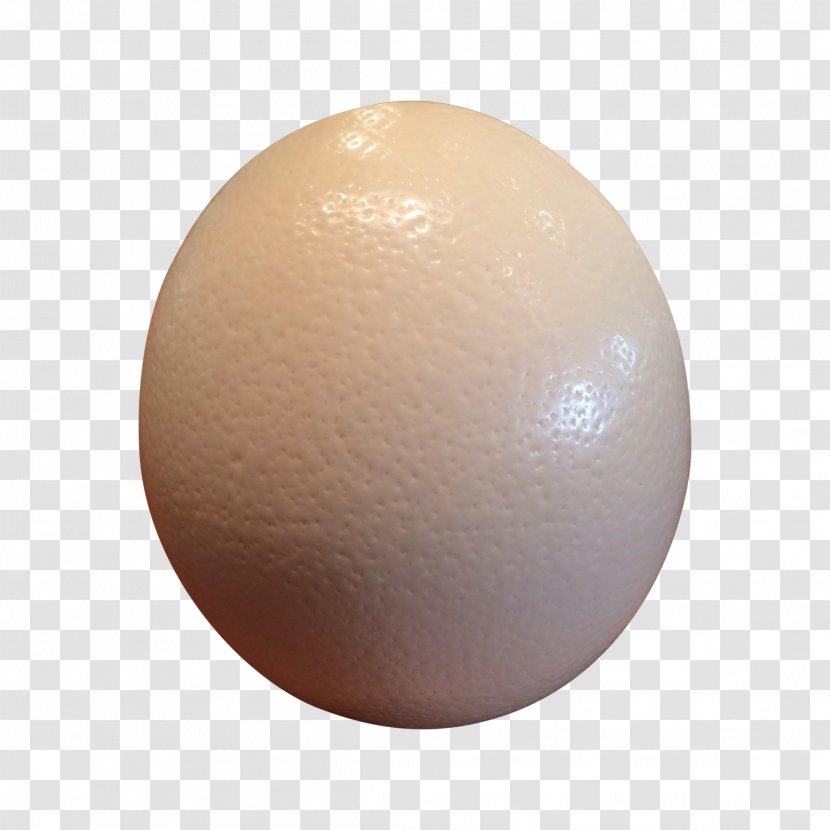 Egg Sphere - Eggshell Transparent PNG