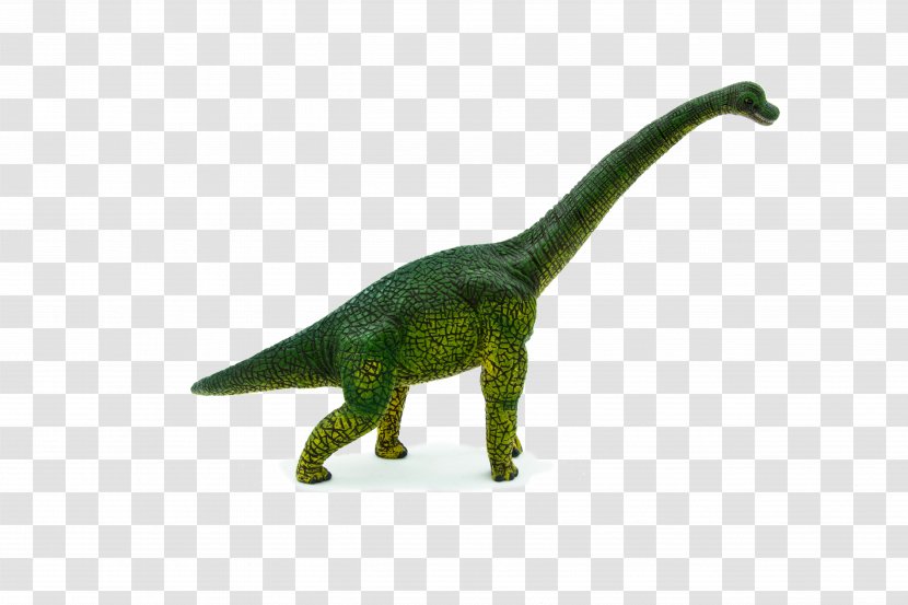 Brachiosaurus Dinosaur Tyrannosaurus Stegosaurus Animal Planet - PigletDinosaur Transparent PNG