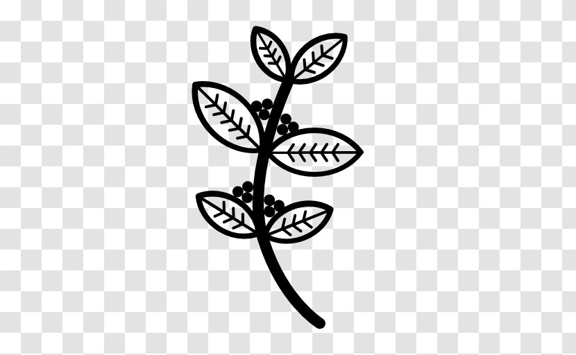 Leaf Black-and-white Plant Font Flower Transparent PNG