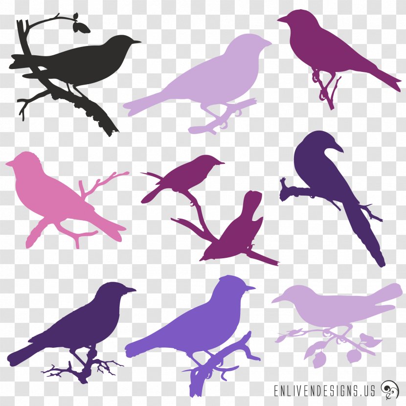 Bird Purple Silhouette Violet Lavender - Blue - Birds Transparent PNG