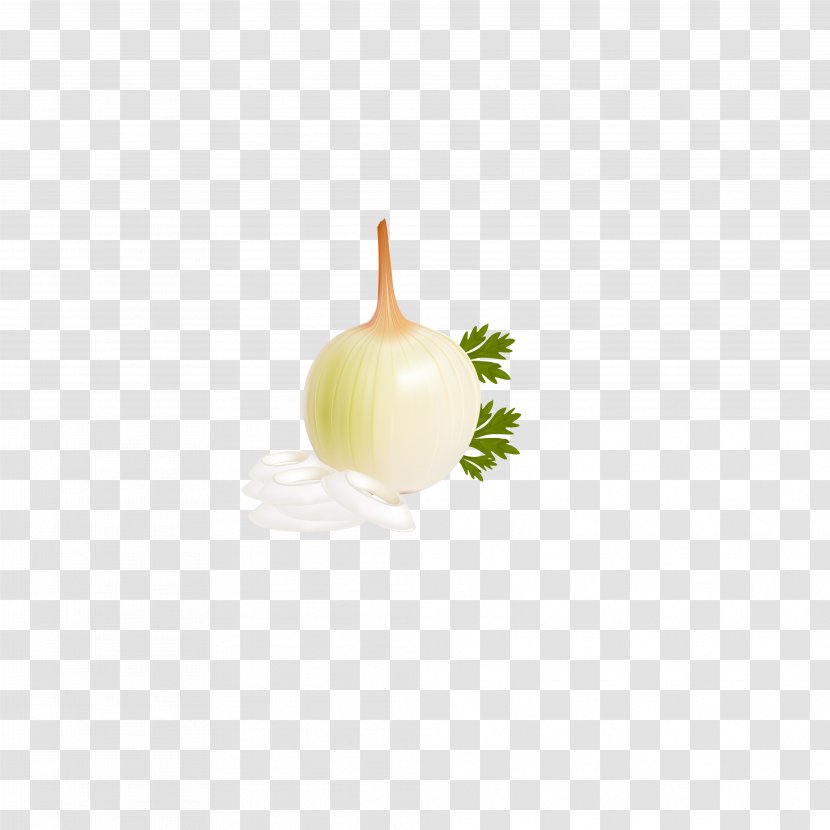 Onion Scallion Allium Fistulosum Garlic - White Transparent PNG