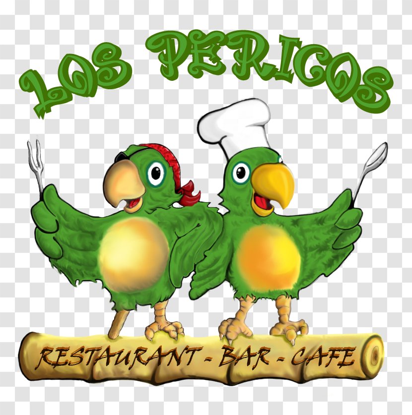 Los Pericos Restaurant Bar Cafe Parrot DeviantArt Transparent PNG
