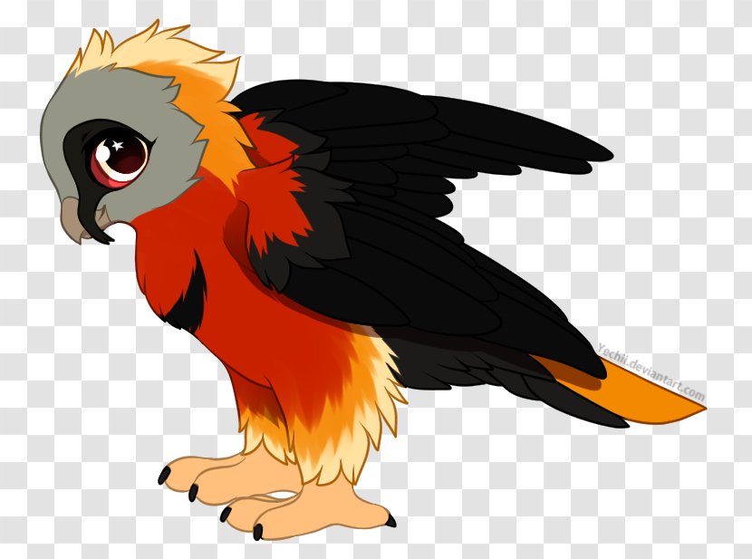 Parrot Clip Art Illustration Bird Beak - Orange Sa Transparent PNG