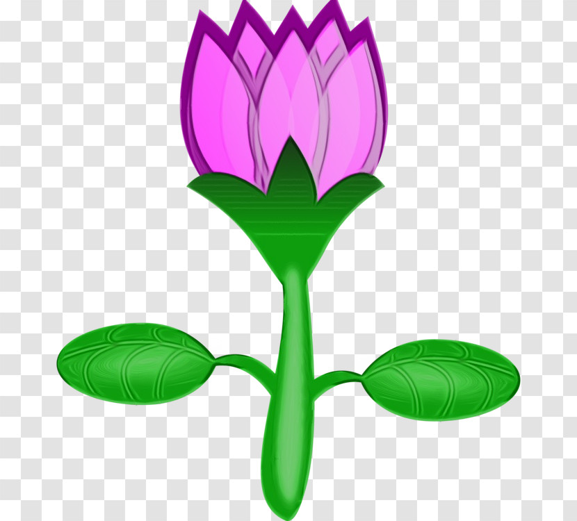 Sacred Lotus Drawing Flower Cartoon Line Art Transparent PNG